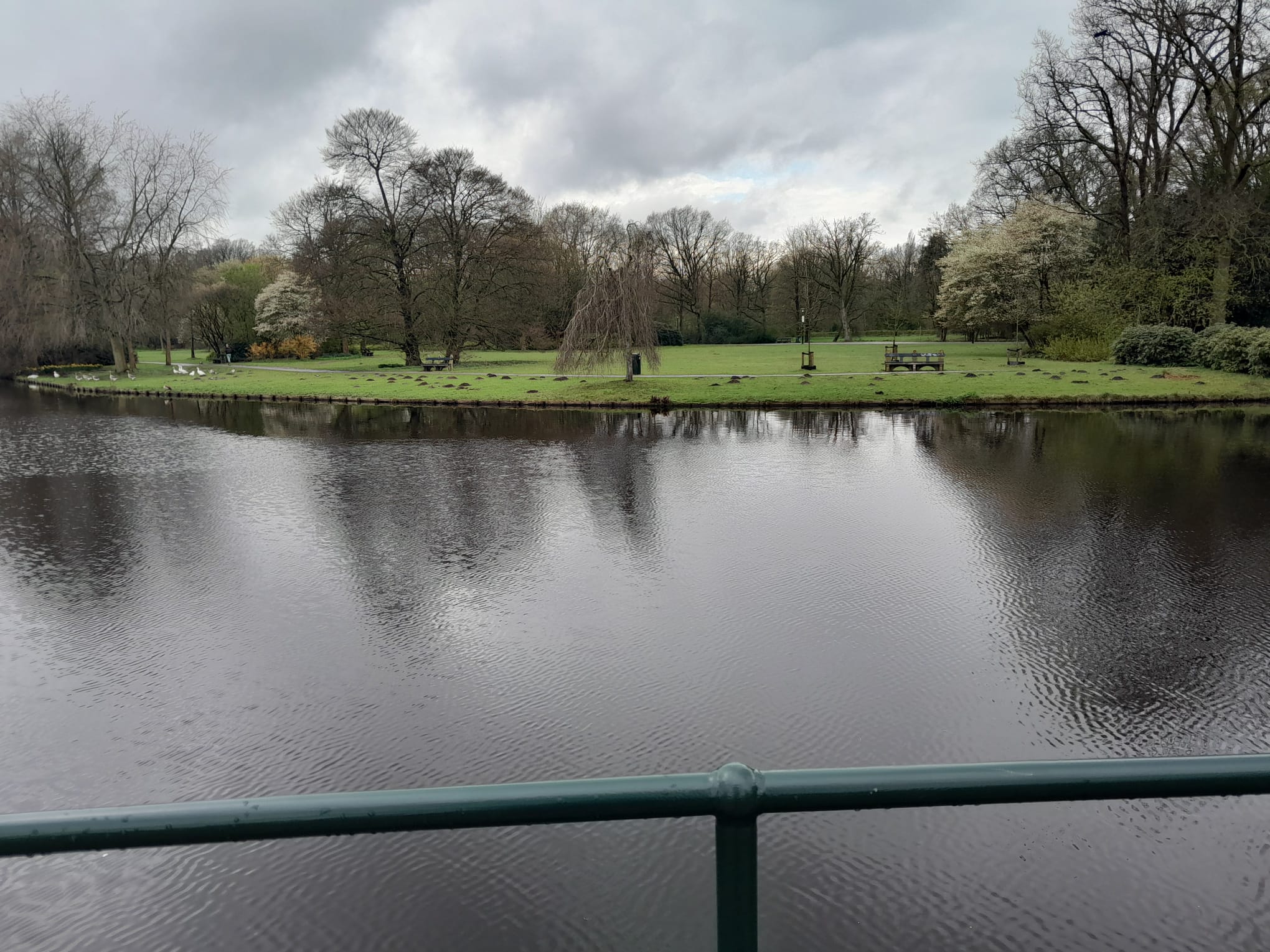 Photo at the water. In the distance are some geese. The weather is rainy, the park is very calm and quiet